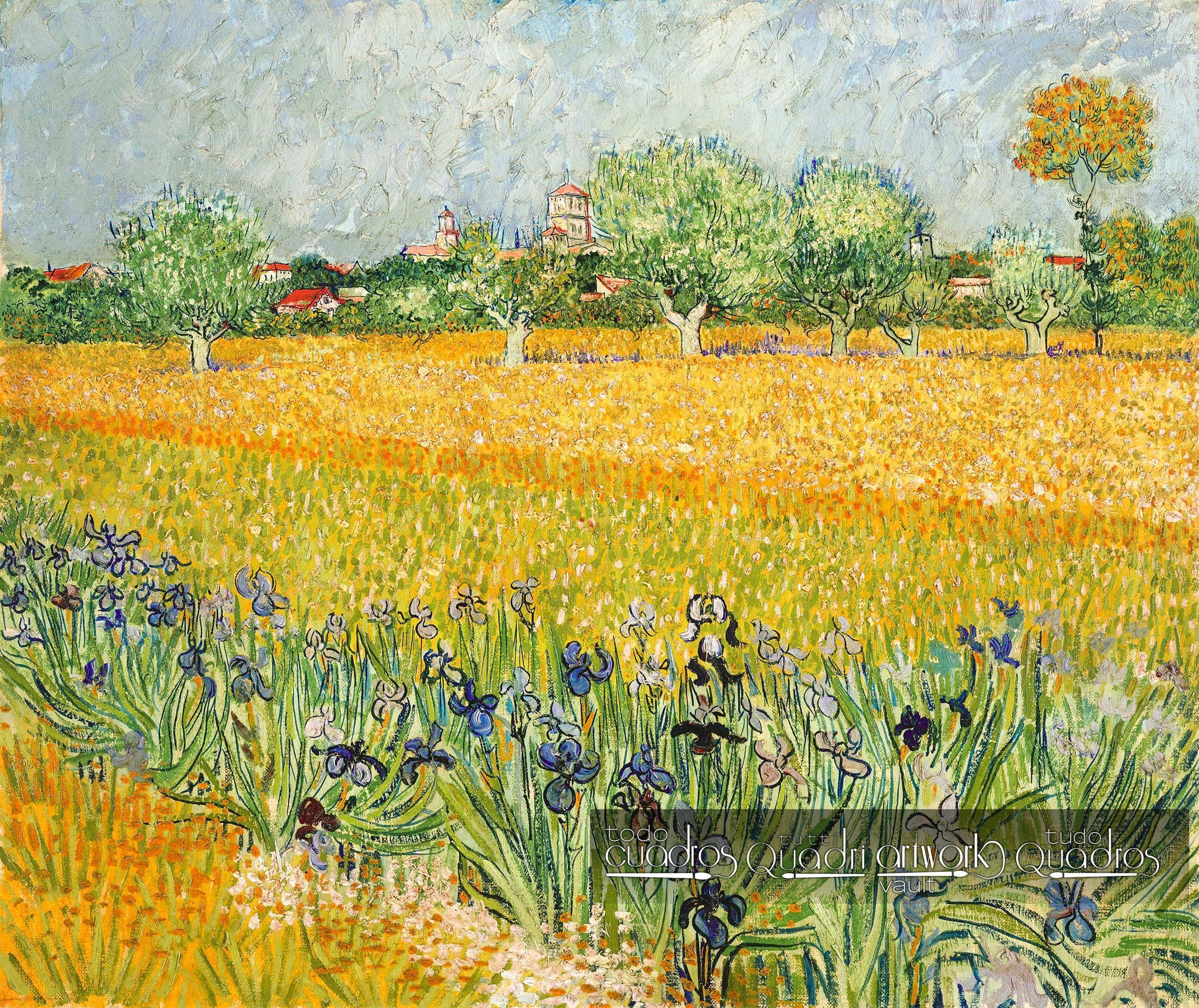 Cuadro Campo De Flores De Van Gogh Paisaje De Arles Cuadro Campo De Flores De Van Gogh Paisaje De Arles