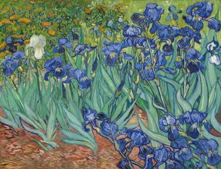 Vincent van Gogh el pintor atormentado e incomprendido Irises-van-gogh