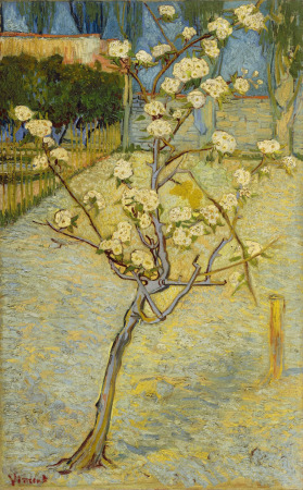 Vincent van Gogh el pintor atormentado e incomprendido Pequeno-peral-flor-van-gogh